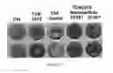 Fig. 06 - Nanoparticles and Use Thereof