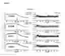 Fig. 06 - HUMANEERED ANTI-FACTOR B ANTIBODY