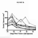 Fig. 34 - Methods of use for an antibody against human frizzled receptors 1, 2. 5, 7 or 8