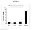 Fig. 38 - Methods of use for an antibody against human frizzled receptors 1, 2. 5, 7 or 8
