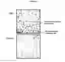 Fig. 39 - Methods of use for an antibody against human frizzled receptors 1, 2. 5, 7 or 8