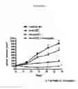 Fig. 42 - Methods of use for an antibody against human frizzled receptors 1, 2. 5, 7 or 8