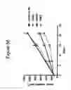 Fig. 56 - Methods of use for an antibody against human frizzled receptors 1, 2. 5, 7 or 8