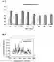 Fig. 08 - Tumor Treatment
