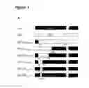 Fig. 02 - Methods and compositions based on shiga toxin type 2 protein