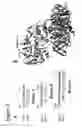 Fig. 04 - Methods and compositions based on shiga toxin type 2 protein