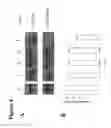 Fig. 08 - Methods and compositions based on shiga toxin type 2 protein