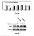 Fig. 15 - Targets for treatment of hypercholesterolemia