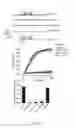 Fig. 07 - Engineered botulinum neurotoxin C1 with selective substrate specificity