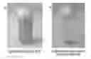 Fig. 01 - METHOD FOR PREPARING HIGH PURITY GINSENOSIDE RD USING LACTOBACILLUS CASEI AND COSMETIC COMPOSITION FOR ANTI-WRINKLE COMPRISING THE HIGH PURITY GINSENOSIDE RD