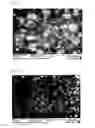 Fig. 02 - Method for preparing metallic thin film