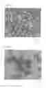 Fig. 03 - SILVER-COATED BALL AND METHOD FOR MANUFACTURING SAME
