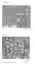 Fig. 04 - SILVER-COATED BALL AND METHOD FOR MANUFACTURING SAME