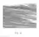 Fig. 12 - Method for making composite carbon nanotube structure