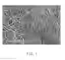 Fig. 02 - Method for making composite carbon nanotube structure