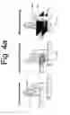 Fig. 06 - PLASMA ENHANCED MATERIALS DEPOSITION SYSTEM