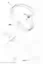 Fig. 04 - DISPOSABLE NECKBAND FOR ANIMAL IDENTIFICATION