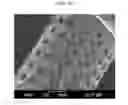 Fig. 07 - Manufacturing method for 3D structure of biomaterials using stereolithography technology and products by the same