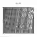 Fig. 09 - Manufacturing method for 3D structure of biomaterials using stereolithography technology and products by the same