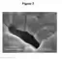 Fig. 04 - HIGH PEEL STRENGTH ARTICLE COMPRISING A THERMOPLASTIC-METAL INTERPENETRATED VOLUME