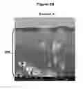 Fig. 07 - HIGH PEEL STRENGTH ARTICLE COMPRISING A THERMOPLASTIC-METAL INTERPENETRATED VOLUME
