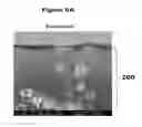 Fig. 08 - HIGH PEEL STRENGTH ARTICLE COMPRISING A THERMOPLASTIC-METAL INTERPENETRATED VOLUME