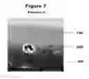 Fig. 10 - HIGH PEEL STRENGTH ARTICLE COMPRISING A THERMOPLASTIC-METAL INTERPENETRATED VOLUME