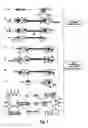 Fig. 02 - Method For The Detection And Characterization Of Microorganisms On A Filter