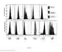 Fig. 07 - Human monoclonal antibodies and methods for producing the same