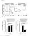 Fig. 02 - Method for detecting muscle degenerative diseases, and method for determining therapeutic efficacy on the diseases