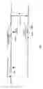 Fig. 02 - Mutant of the proB gene from coryneform bacteria