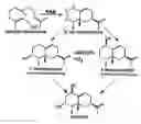 Fig. 01 - Cytochrome P450s and uses thereof