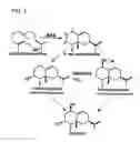 Fig. 02 - Cytochrome P450s and uses thereof