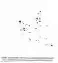 Fig. 01 - Chimeric pestivirus with insertion in 3′ nontranslated region (3′NTR) with stable replication and rnase resistance