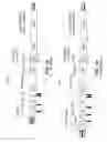Fig. 02 - Chimeric pestivirus with insertion in 3′ nontranslated region (3′NTR) with stable replication and rnase resistance