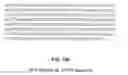 Fig. 32 - Chimeric pestivirus with insertion in 3′ nontranslated region (3′NTR) with stable replication and rnase resistance
