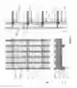 Fig. 04 - DEVICE FOR CULTIVATING ALGAE AND/OR MICROORGANISMS FOR TREATING AN EFFLUENT, AND BIOLOGICAL FRONTAGE