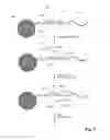 Fig. 02 - Immobilized Buffer Particles and Uses Thereof
