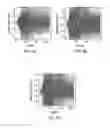 Fig. 08 - Immobilized Buffer Particles and Uses Thereof