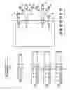 Fig. 01 - KIT FOR PREPARATION OF ANTIGEN-SPECIFIC CYTOTOXIC LYMPHOCYTES