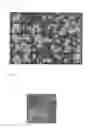 Fig. 06 - Cell culture container and cell culture method