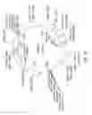 Fig. 86 - Human telomerase catalytic subunit