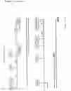 Fig. 19 - Multiple-tumor aberrant growth genes