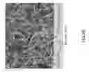 Fig. 04 - Implant surface treatment method having tissues integrated