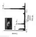 Fig. 07 - Implant surface treatment method having tissues integrated