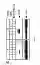 Fig. 10 - Methods and compositions for inducing apoptosis by stimulating ER stress