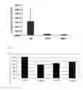 Fig. 06 - Method for enhancing a function of a T cell