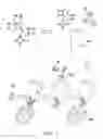 Fig. 02 - Aptamer and detection method for C-reactive protein