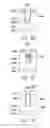 Fig. 15 - Fabrication method of trenched power MOSFET