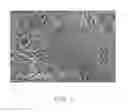Fig. 02 - COMPOSITE CARBON NANOTUBE STRUCTURE
